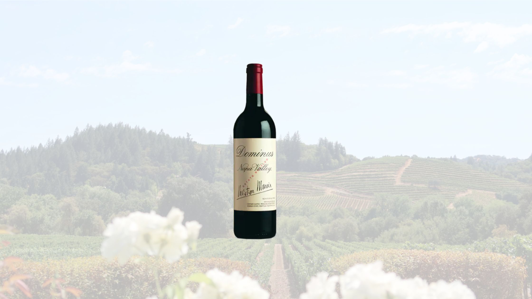 Littorai Wines - 10 Legendary American Wineries Defining U.S. Winemaking in 2026